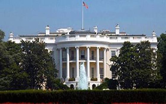   مصر اليوم - نائب رئيس الوزراء ينتقد اعتراض واشنطن على اعتبار الإخوان جماعة إرهابية