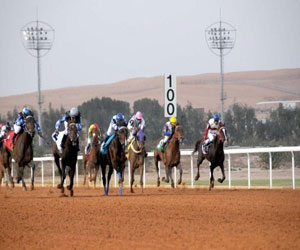   مصر اليوم - سيارات لأصحاب المراكز الأولى في مهرجان الأمير سلطان