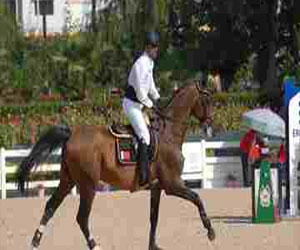   مصر اليوم - الفريق البحريني لقفز الحواجز يواصل نتائجه الايجابية في الامارات