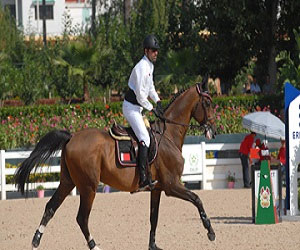   مصر اليوم - الفريق البحريني لقفز الحواجز يواصل نتائجه الايجابية في الامارات