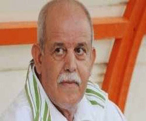   مصر اليوم - العمل القاعدي ضروري لبعث كرة القدم الجزائرية