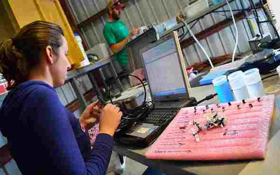   مصر اليوم - المؤسسة العربيّة للعلوم تدعو لتأسيس صندوق دولي للاستثمار في البحث العلمي