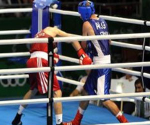   مصر اليوم - سنة 2013 : سنة تاريخية للملاكمة الجزائرية