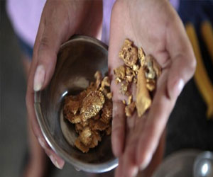   مصر اليوم - كارثة بيئية وصحية وراء الاستخراج غير الشرعي للذهب في بيرو