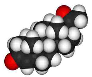   مصر اليوم - هرمون ستيرويدي يضعف آثار الماريجوانا السلبية