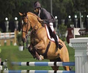   مصر اليوم - سباق كاس الاتحاد للإسطبلات الخاصة للمواطنين ينطلق السبت بالوثبة