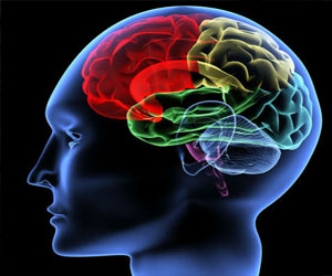   مصر اليوم - اكتشاف جزيئة تحمي الدماغ من إدمان القنب الهندي