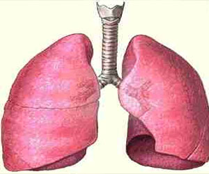  مصر اليوم - دراسة جديدة: الرئتان يمكنهما أيضًا التنفس