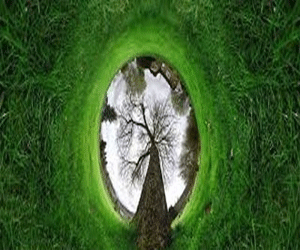   مصر اليوم - مصور يحول الأشجار إلى أنفاق وكواكب مصغرة