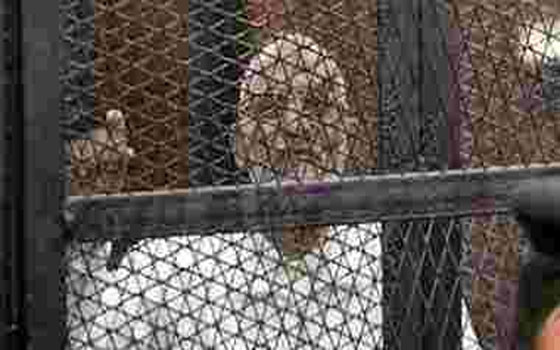   مصر اليوم - محكمة جنايات القاهرة تتنحى عن مُحاكمة حرّاس بديع