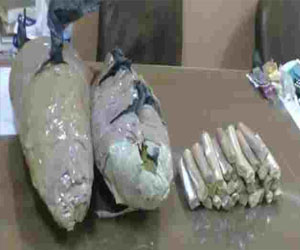   مصر اليوم - ضبط 500 غرام بانجو بحوزة طالب في سفاجا