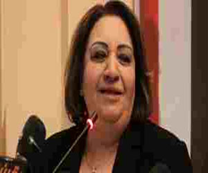   مصر اليوم - وزارة الشباب تستضيف تهاني الجبالي حول حقوق المرأة في الدستور