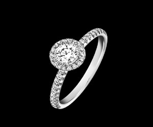   مصر اليوم - كلب يبتلع خاتم زواج قيمته 30 ألف دولار