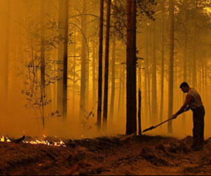   مصر اليوم - اندلاع حرائق بالغابات في جنوب غرب الصين