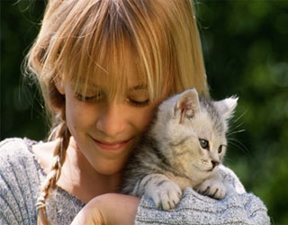 مصر اليوم - بروتين جديد يساعد في علاج داء الملاريا