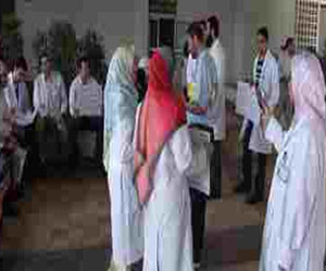 مصر اليوم - الأطباء البيطريُّون يضربون ساعتين عن العمل في سوهاج