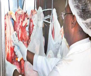   مصر اليوم - حملات يوميَّة للتَّفتيش على اللحوم في الأسواق في قنا