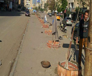 مصر اليوم - تطوير وتشجير المنطقة الخامسة بحي ثالث الإسماعيلية