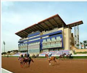   مصر اليوم - نادي الفروسية في الرياض يقيم حفل سباقه ال41