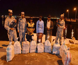 مصر اليوم - حرس حدود جازان يحبط تهريب 358 كيلو جرامًا من الحشيش