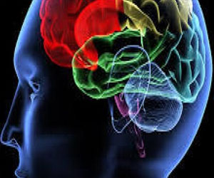   مصر اليوم - إكتشاف قدرة بعض خلايا جهاز المناعة في محاربة الأورام