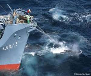   مصر اليوم - الولايات المتحدة تدين فرض الصين قيود على الصيد في البحر الجنوبي