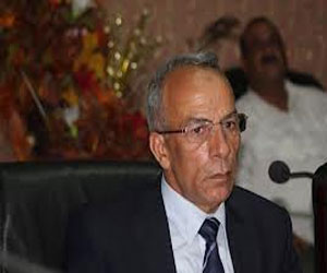   مصر اليوم - حرحور يعتبر الاستفتاء تأكيدًا على شعبيّة 30 يونيو