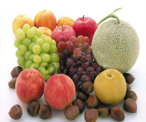   مصر اليوم - فيتامين إيه في الدم يسهم في حماية الذاكرة لدى المسنين