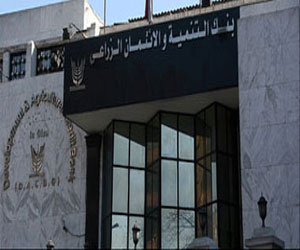   مصر اليوم - الائتمان الزراعي المصري يبحث الشراكة مع مصارف خليجية