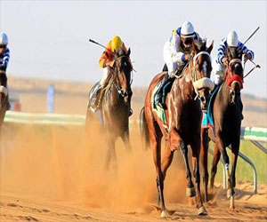   مصر اليوم - سباقات نادي الفروسية في القصيم