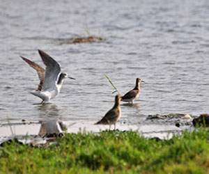   مصر اليوم - وادي عليب وجهة عشّاق الطبيعة البكر في الشتاء