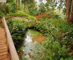 مصر اليوم - جيبس فارم خلاصة الطبيعة في تنزانيا