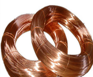   مصر اليوم - نقيب العلميين: مصر تمتلك رصيدًا ضخمًا من العلماء