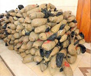   مصر اليوم - احباط محاولة ترويج 25 كيلو بانجو في رأس غارب