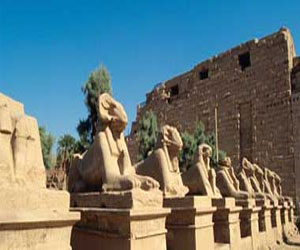 مصر اليوم - خبراء أجانب يطرحون روشتة لعودة السياحة إلى مصر فى ورشة عمل في الأقصر