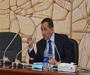   مصر اليوم - محافظ البحيرة : الدستور عنق الزجاجة للإنطلاق نحو طريق التنمية