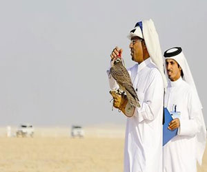   مصر اليوم - تأجيل منافسات هدد التحدي و الطلع بسبب الأمطار