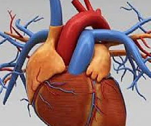   مصر اليوم - تطوير غراء طبي مضاد للماء لإصلاح الثقوب الخلقية للقلب