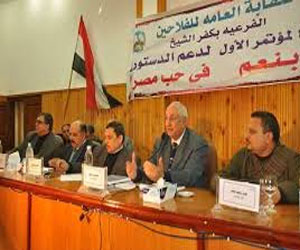   مصر اليوم - نقابة الفلاحين في كفرالشيخ تنظم مؤتمرًا لدعم الدستور