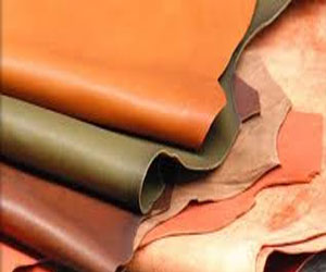   مصر اليوم - ارتفاع صادرات الجلود في تونس