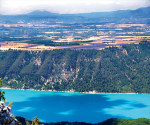 مصر اليوم - سقطرى اليمنية متحف الطبيعة وروعة النباتات