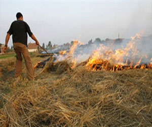   مصر اليوم - أبوحديد: الاستفادة من 30 مليون طن مخلفات زراعية لحماية البيئة