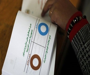   مصر اليوم - الجامعة العربية : سنغطي ٧٥ % من المحافظات المصرية