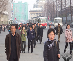   مصر اليوم - 1516 كوريًا شماليًا فروا إلى كوريا الجنوبية في الـ2013