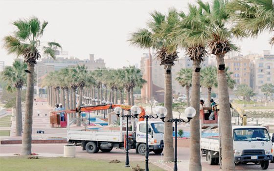   مصر اليوم - مدينة الخبر السعوديَّة ثاني أجمل مدينة عربيَّة تحيي مهرجان عيش جوك