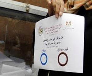   مصر اليوم - حزب المحافظين يُشيد بإجراءات تأمين الاستفتاء على الدستور