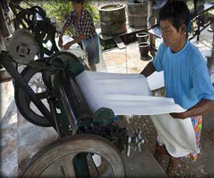   مصر اليوم - ارتفاع صادرات المطاط الطبيعي الماليزي بنسبة 15%