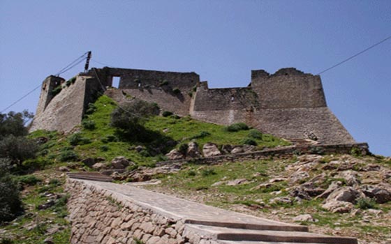   مصر اليوم - المحمية الطبيعيّة الجزائريّة يما قوريا مقصد مليون سائح وزائر سنويًا