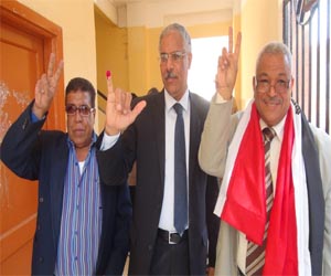 مصر اليوم - جمال علام يصوّت على الدستور في الأقصر