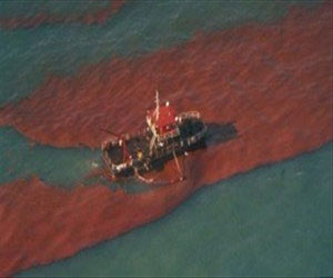   مصر اليوم - التحفّظ على سفينة إسبانيّة أحدثت تلوّثًا بحريًّا في ميناء سفاجا